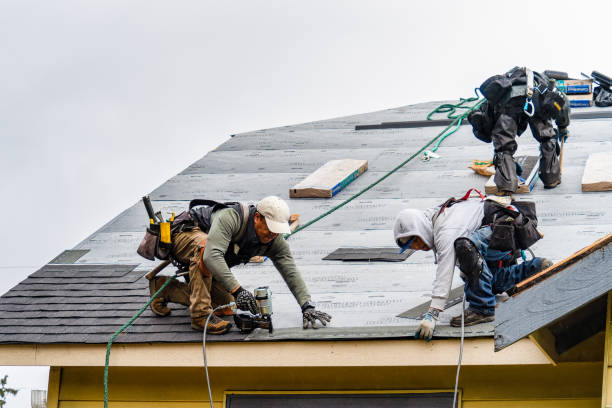 Professional Gutter Installation technician working in Sedley, VA
